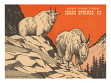 Greetings from Idaho Springs  Colorado