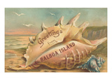 Greetings from Balboa Island  California