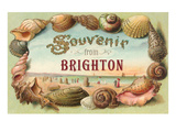 Souvenir from Brighton  England