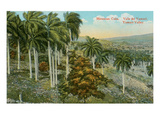 Yumuri Valley  Matanzas  Cuba