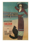 Fashionable Woman with Cat on Beach