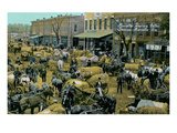 Early Cotton Market  Marietta  Georgia