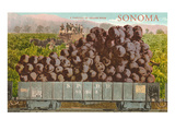 Train Carload of Grapes from Sonoma