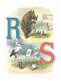 Alphabet Animals  R and S