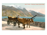 Ox Cart on Lago Di Garda  Italy