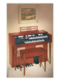 Home Organ