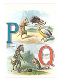 Alphabet Animals  P and Q