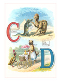Alphabet Animals  C and D