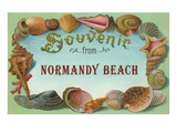 Souvenir from Normandy Beach  New Jersey