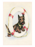 Brown Terrier in Lifesaver