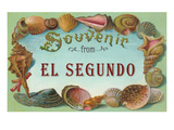 Seashells  Souvenir from El Segundo  California