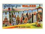 Greetings from Walker  Minnesota