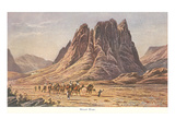Mt Sinai  Israelites Wandering in the Wilderness