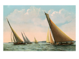 Sloop Regatta