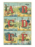 Alphabet Illustrations  A to F