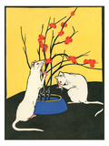 White Rats  Red Berries