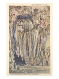 Carlsbad Caverns  New Mexico