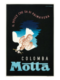 Poster for Colomba Motta  Dove