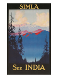 See India  Travel Poster for Simla