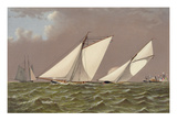 Yacht Regatta