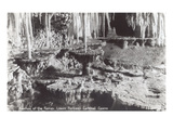 Fountain of the Fairies  Carlsbad Caverns  New Mexico