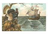 Urkey Watching Mayflower Arrival