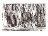 King's Palace  Carlsbad Caverns  New Mexico