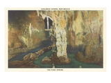 First Spring  Carlsbad Caverns  New Mexico