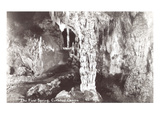 First Spring  Carlsbad Caverns  New Mexico