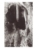 Celery Formation  Big Room  Carlsbad Caverns  New Mexico