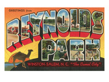 Greetings from Reynolds Park  North Carolina