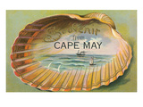 Souvenir from Cape May  New Jersey  Clam