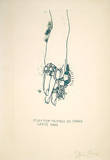 Dorian Gray  Rings on Hand (30)