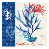 Seafaring Botanical