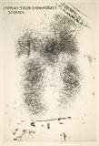 Dorian Gray  Stomach (30)