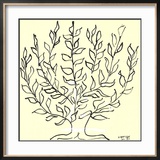 Le Buisson