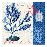 Oceanic Botanical