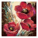 Influential Poppy