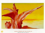 red tree  yellow sky