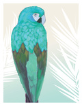 Tropical Bird 1