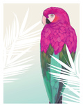 Tropical Bird 2