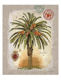 Linen Date Palm Tree