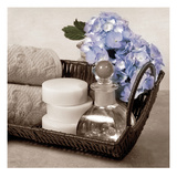 Hydrangea and Wicker