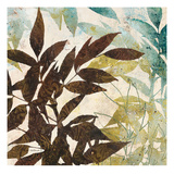 Natural Forms