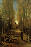 Poplar Avenue in Autumn  October 1884