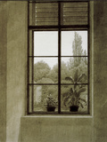 Window with View of a Park