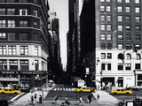 Fifth Avenue  New York  USA