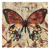 Butterfly Beauty 2
