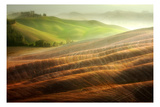 Autumn on the Fields