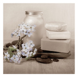 Hydrangea and Soap